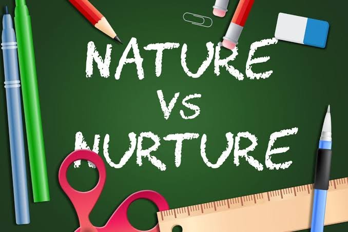 Nature vs Nurture: Apa yang Membentuk Kepribadian?