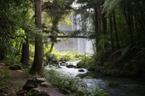 Kaitiakitanga